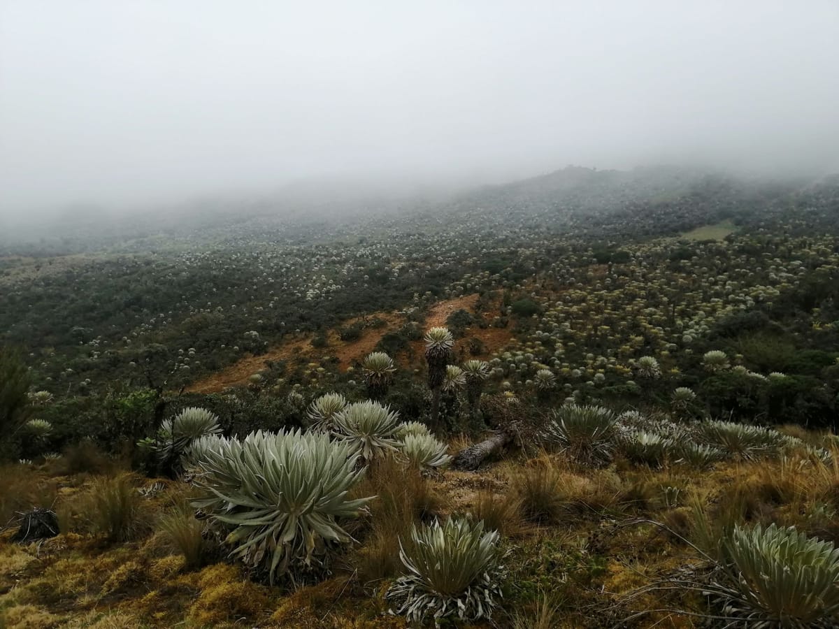 Montagnes du Boyacá