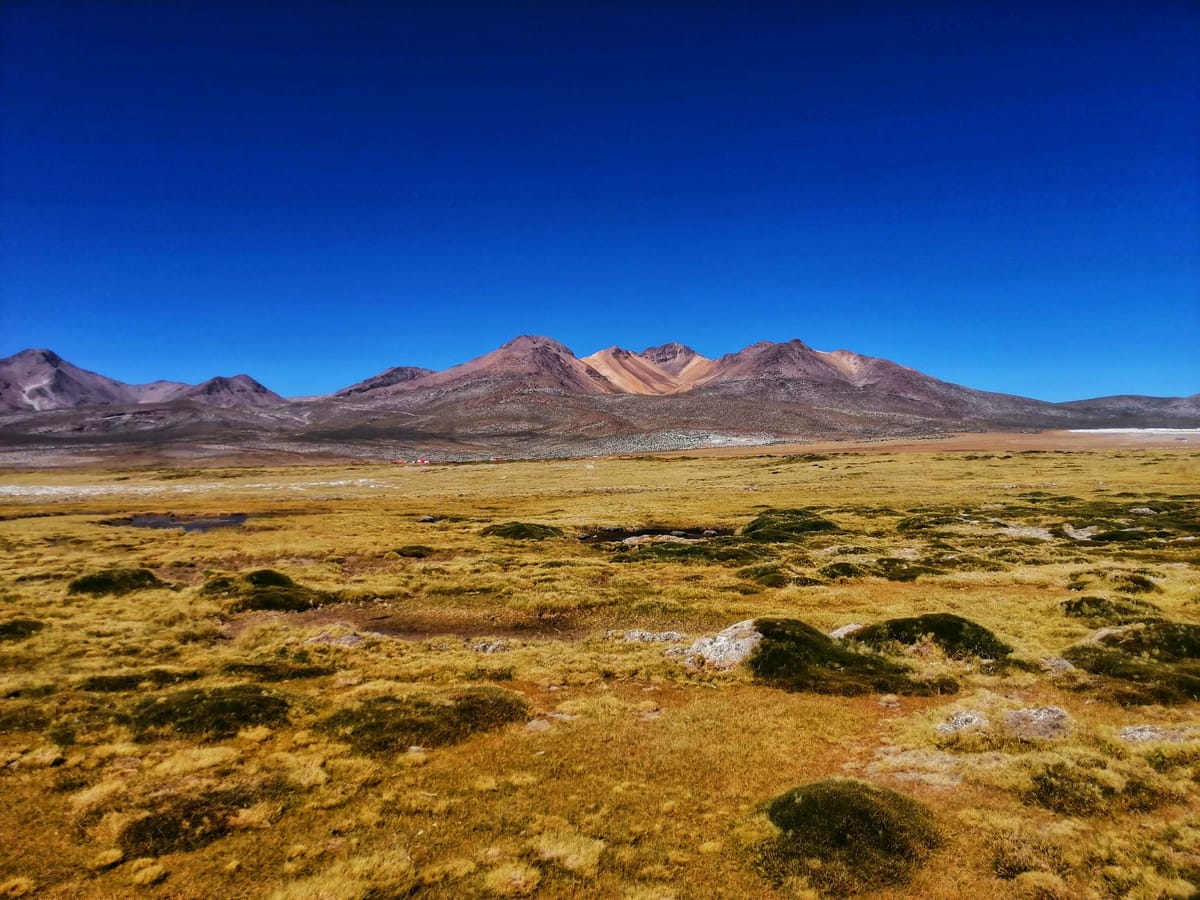 Arequipa