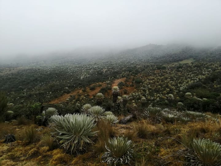 Montagnes du Boyacá